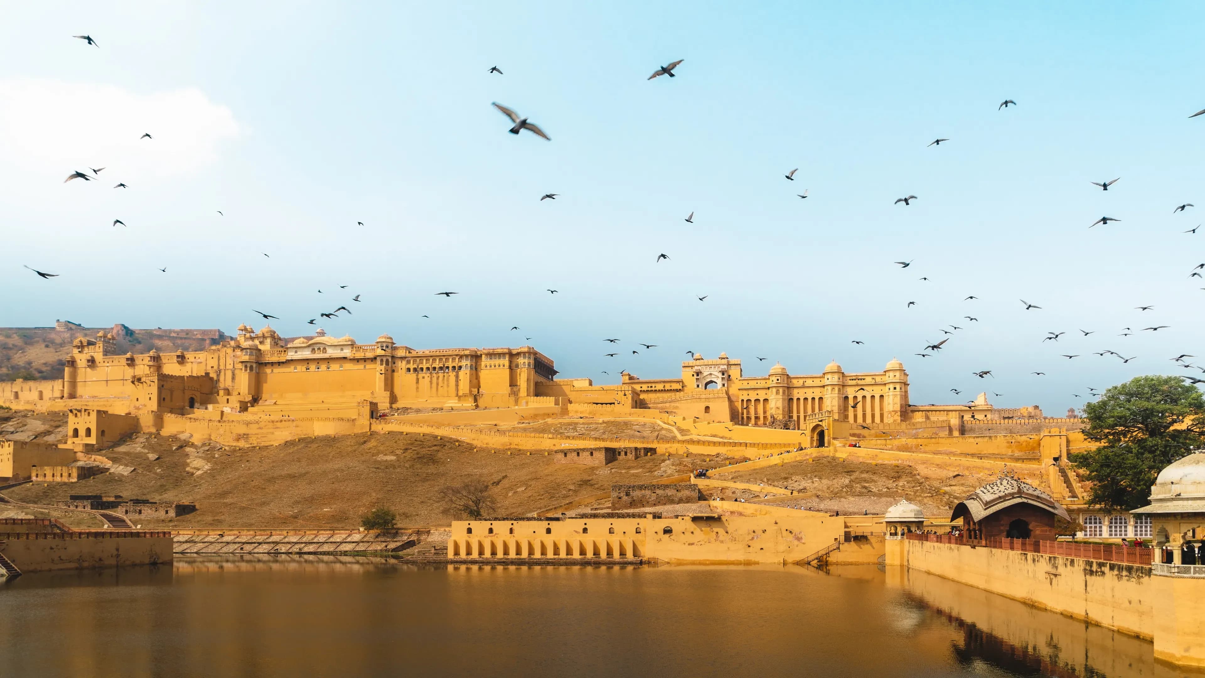 Exploring Royal Rajasthan: A Tapestry of Culture, Heritage, and Natural Splendor